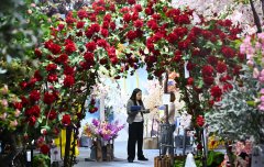 <strong>现12分钟科学揉捏、42℃黄金温度等功能</strong>